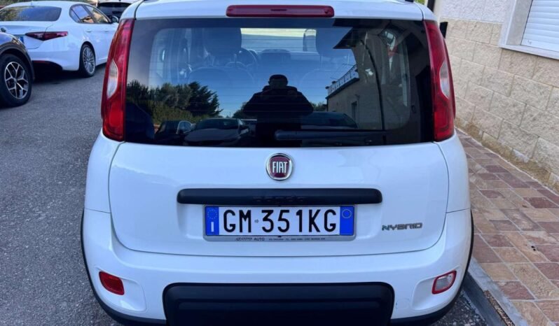 Fiat Panda Panda 1.0 firefly hybrid City Life s pieno