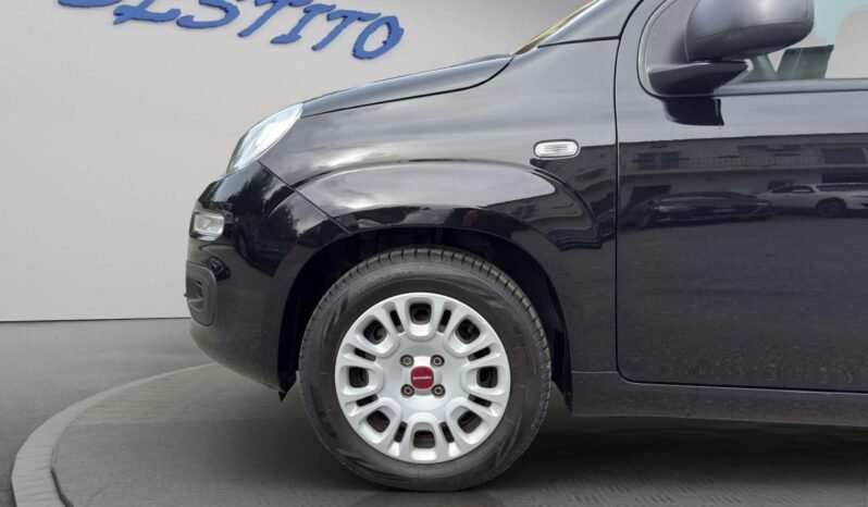 Fiat Panda Panda 1.0 firefly hybrid s pieno