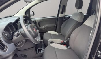 Fiat Panda Panda 1.0 firefly hybrid s pieno