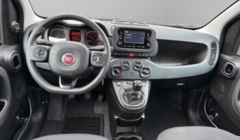 FIAT – Panda  1.0 firefly hybrid s&s 70cv 5p.ti pieno