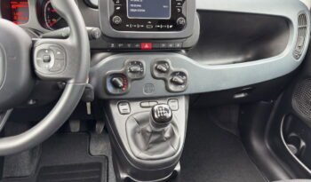 FIAT – Panda  1.0 firefly hybrid s&s 70cv 5p.ti pieno