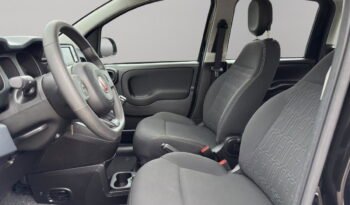 FIAT – Panda  1.0 firefly hybrid s&s 70cv 5p.ti pieno