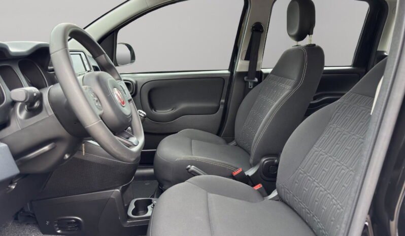 FIAT – Panda  1.0 firefly hybrid s&s 70cv 5p.ti pieno