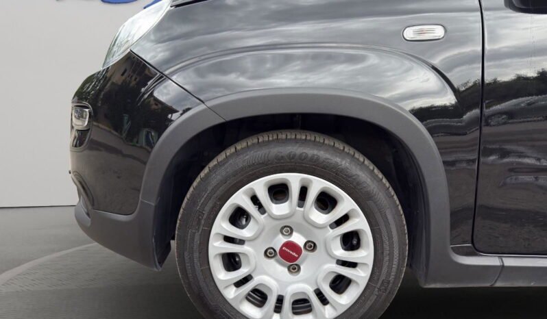 FIAT – Panda  1.0 firefly hybrid s&s 70cv 5p.ti pieno