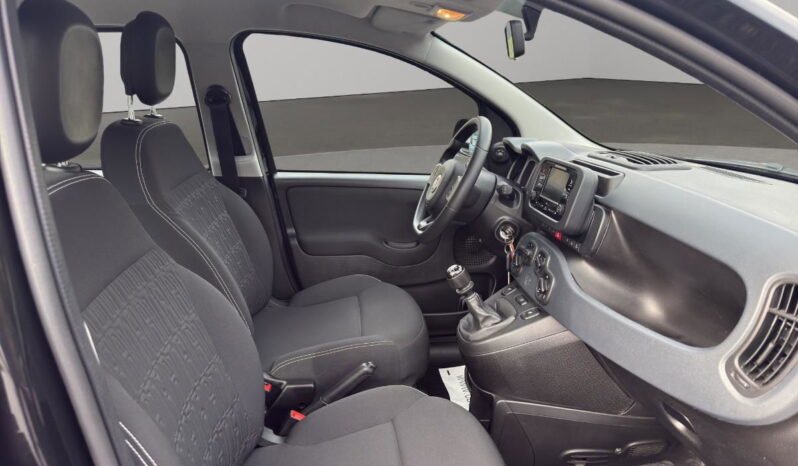 FIAT – Panda  1.0 firefly hybrid s&s 70cv pieno