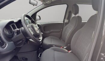 FIAT – Panda  1.0 firefly hybrid s&s 70cv pieno