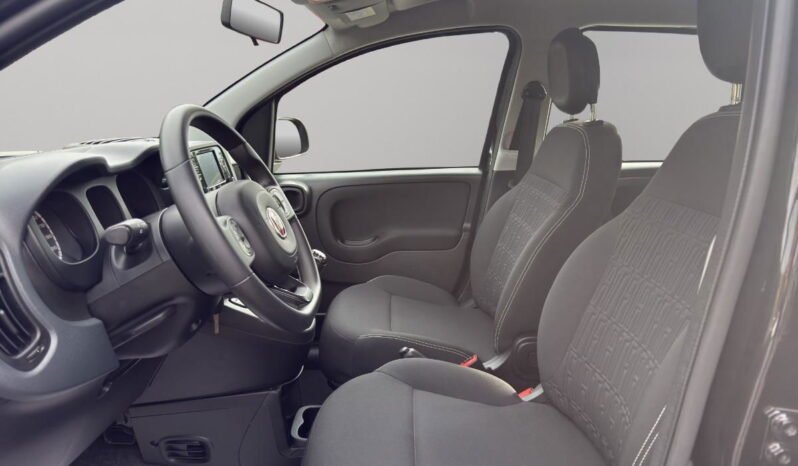 FIAT – Panda  1.0 firefly hybrid s&s 70cv pieno