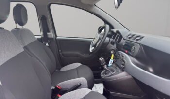 FIAT – Panda  1.0 hybrid s&s 70cv 5p.ti pieno