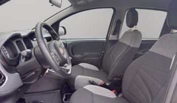 FIAT – Panda  1.0 hybrid City Life s&s 70cv pieno