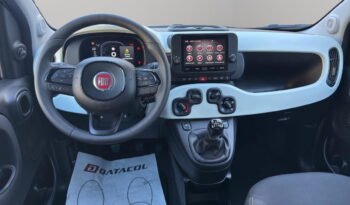 FIAT – Panda Pandina 1.0 firefly hybrid s&s 70cv pieno