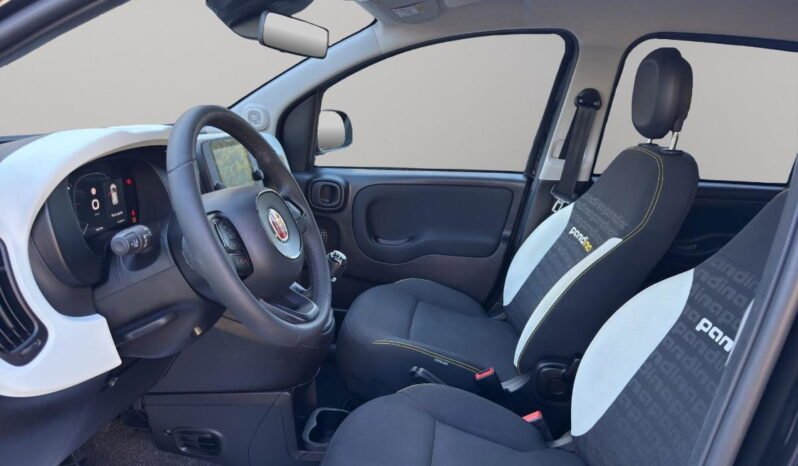 FIAT – Panda Pandina 1.0 firefly hybrid s&s 70cv pieno