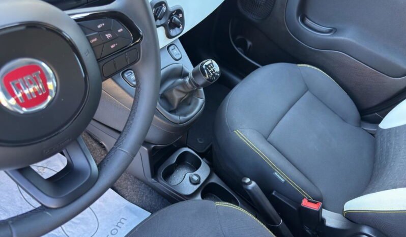 FIAT – Panda Pandina 1.0 firefly hybrid s&s 70cv pieno