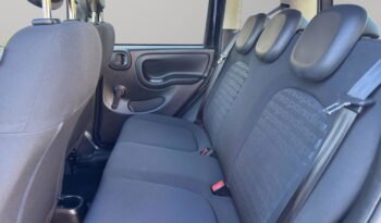 FIAT – Panda Pandina 1.0 firefly hybrid s&s 70cv pieno