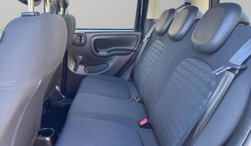 FIAT – Panda Pandina 1.0 firefly hybrid s&s 70cv pieno