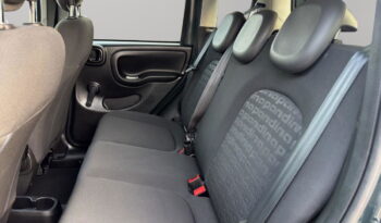 FIAT – Panda Pandina 1.0 firefly hybrid s&s 70cv pieno