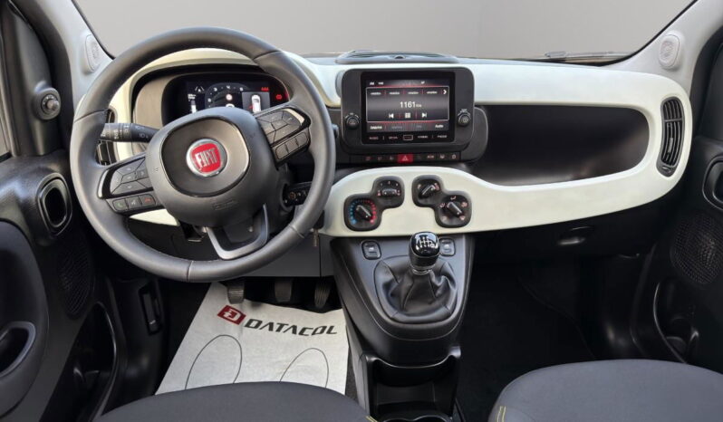 FIAT – Panda Pandina 1.0 firefly hybrid s&s 70cv pieno