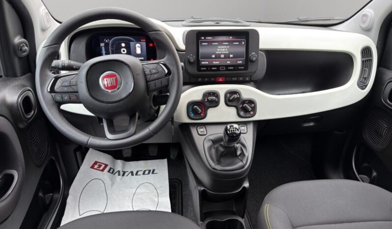 FIAT – Panda Pandina Cross 1.0 firefly hybrid s&s 70cv pieno