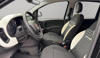 FIAT – Panda Pandina Cross 1.0 firefly hybrid s&s 70cv pieno