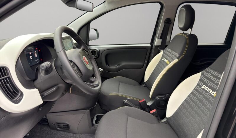 FIAT – Panda Pandina Cross 1.0 firefly hybrid s&s 70cv pieno