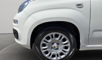 FIAT – Panda Pandina 1.0 firefly hybrid Pop s&s 65cv pieno