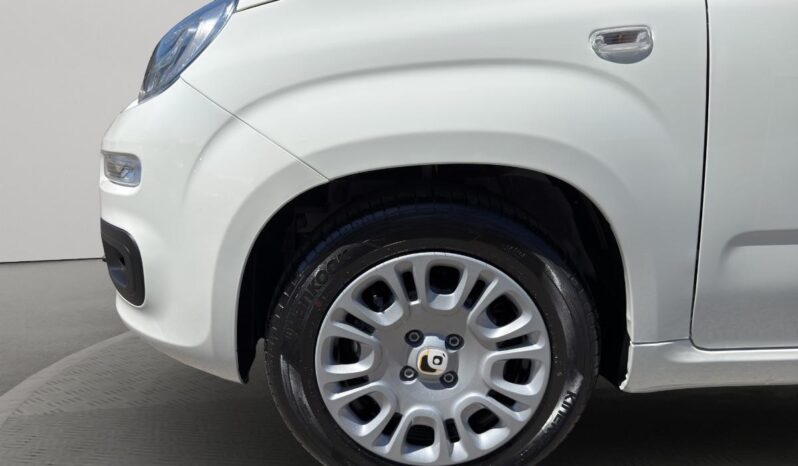 FIAT – Panda Pandina 1.0 firefly hybrid Pop s&s 65cv pieno