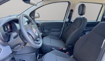 FIAT – Panda Pandina 1.0 firefly hybrid Pop s&s 65cv pieno