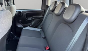 FIAT – Panda – 1.0 FireFly S&S Hybrid City Life pieno