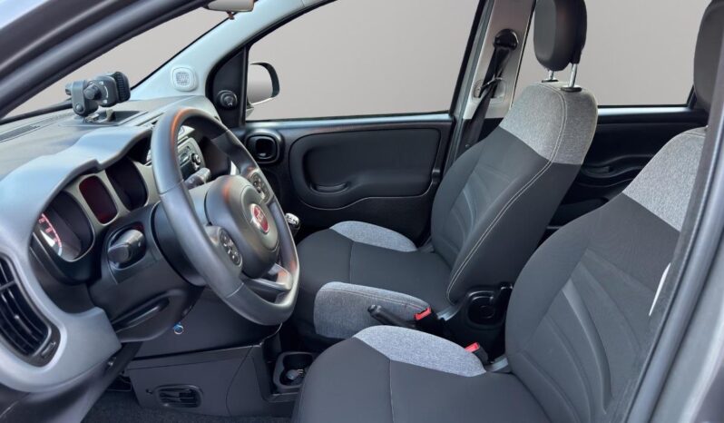 FIAT – Panda – 1.0 FireFly S&S Hybrid City Life pieno