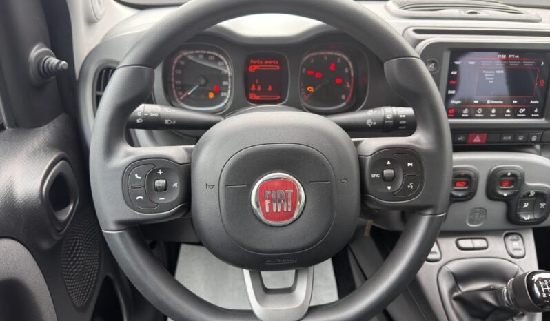 FIAT – Panda  1.0 hybrid City Life s&s 70cv pieno