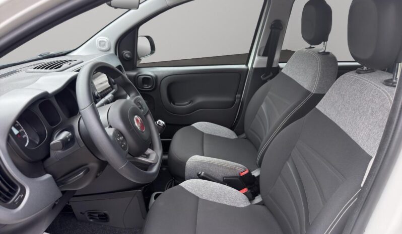 FIAT – Panda  1.0 hybrid City Life s&s 70cv pieno
